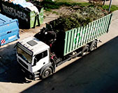 Reciclajes Jarama, s.l. | Servicios | Retirada de restos vegetales Reciclajes Jarama, s.l. | Servicios | Retirada de restos vegetales